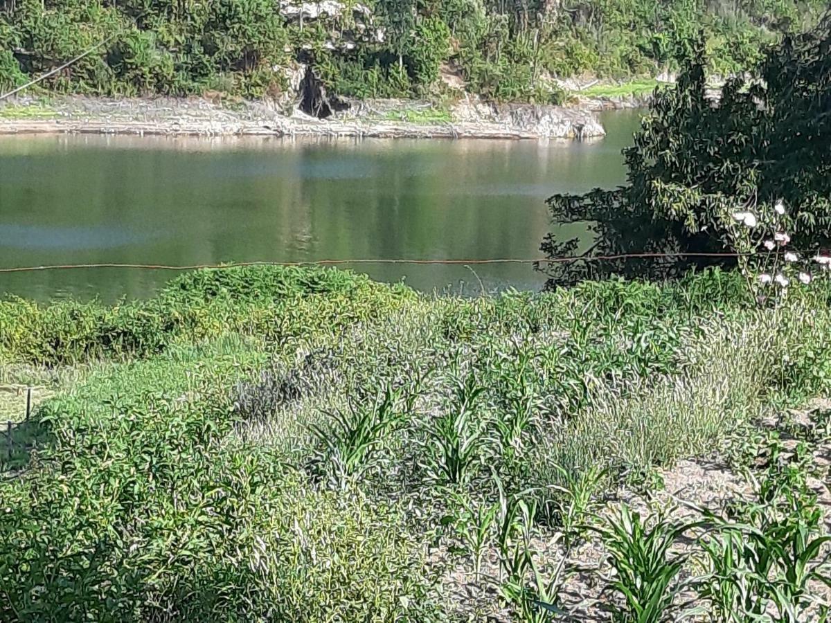 River House Sejaes Oliveira de Frades Exterior foto